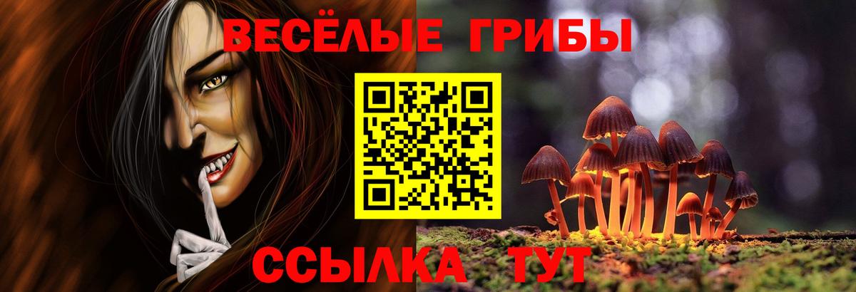 Псилоцибиновые грибы прущие грибы  Вход с VPN  Галлюциногенные грибы мухоморы  Морозовск 