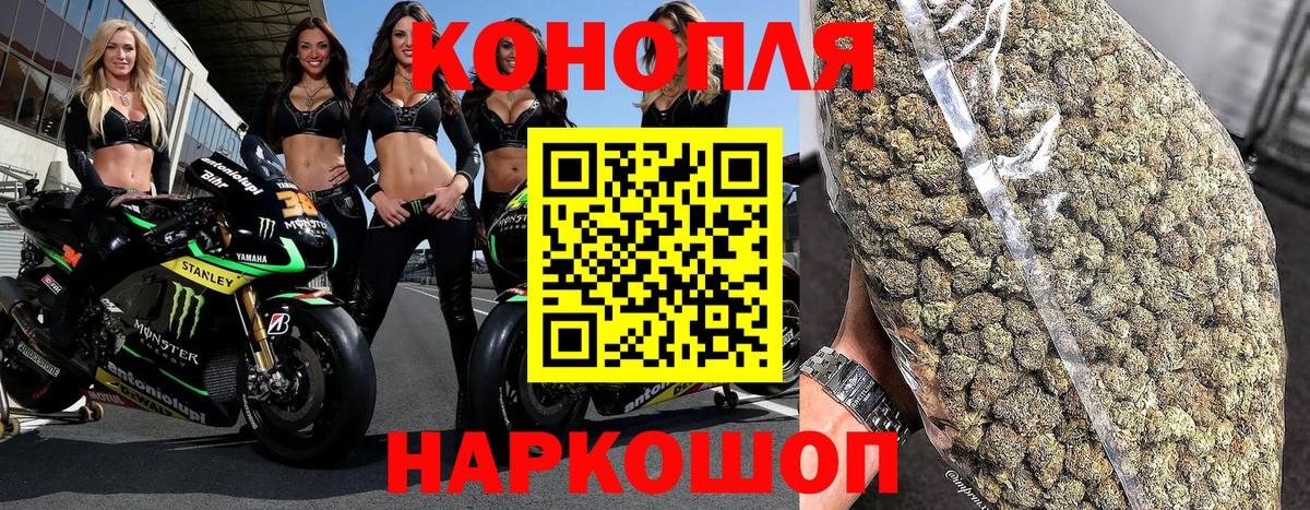 Каннабис конопля Морозовск